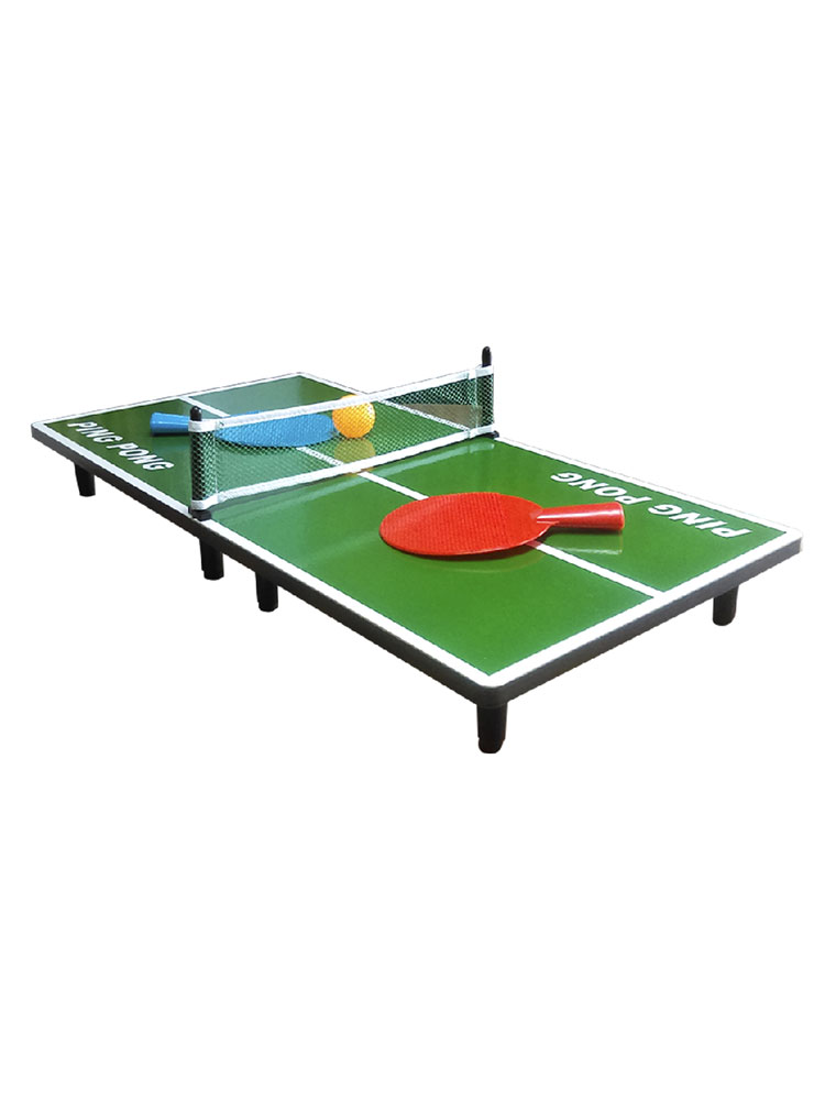 Ping pong hyundai